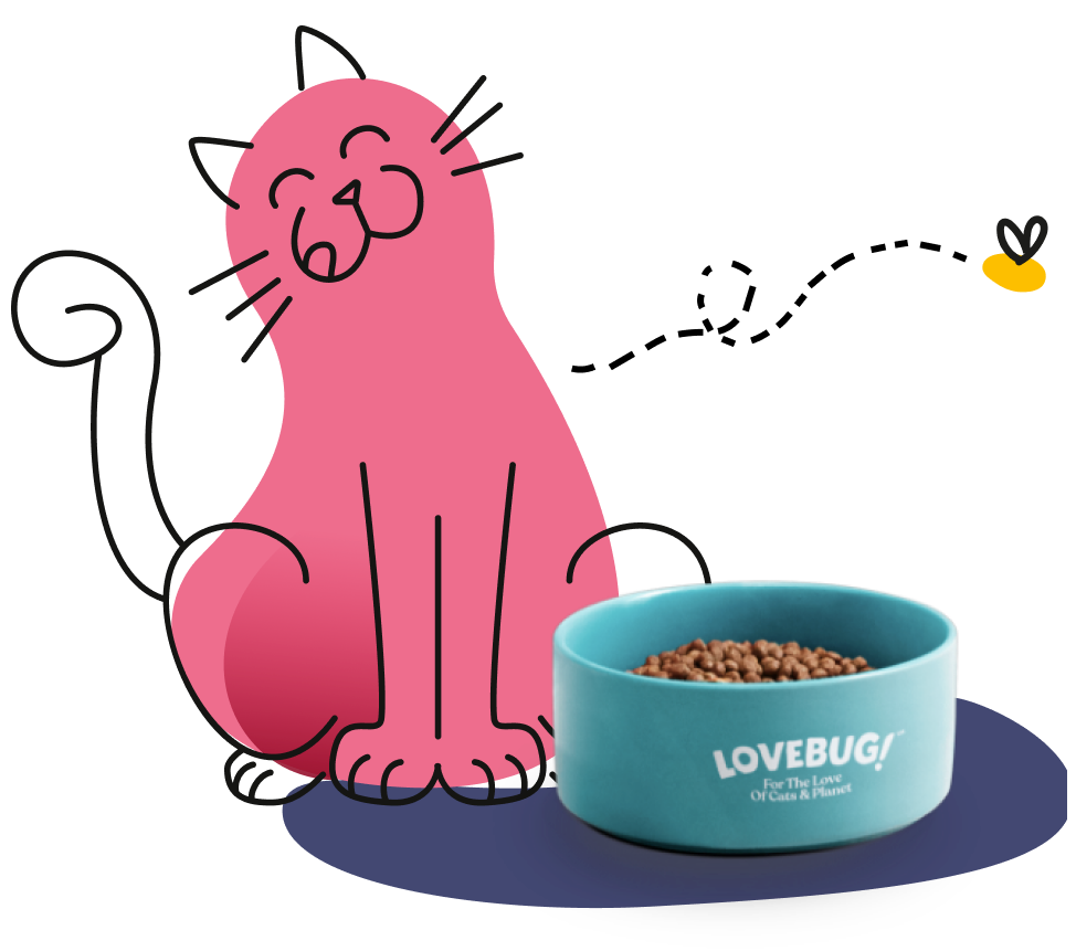 Lovebug Complete and Balanced Insect Based Adult Dry Cat Food