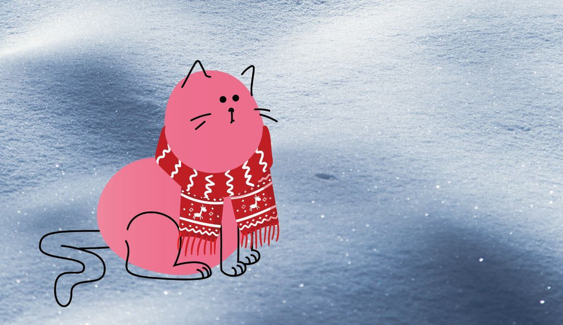 Winter Cat Care | Lovebug Pet Foods