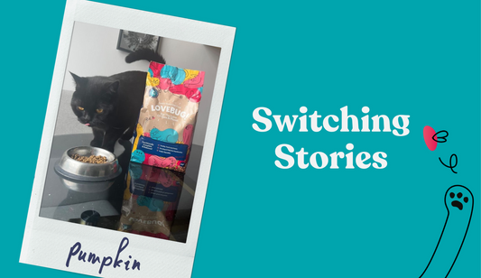 Switching Stories: Pumpkin | Lovebug Pet Foods