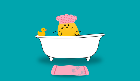 6 Common Cat Myths - And The Truth Behind Them | Lovebug Pet Foods