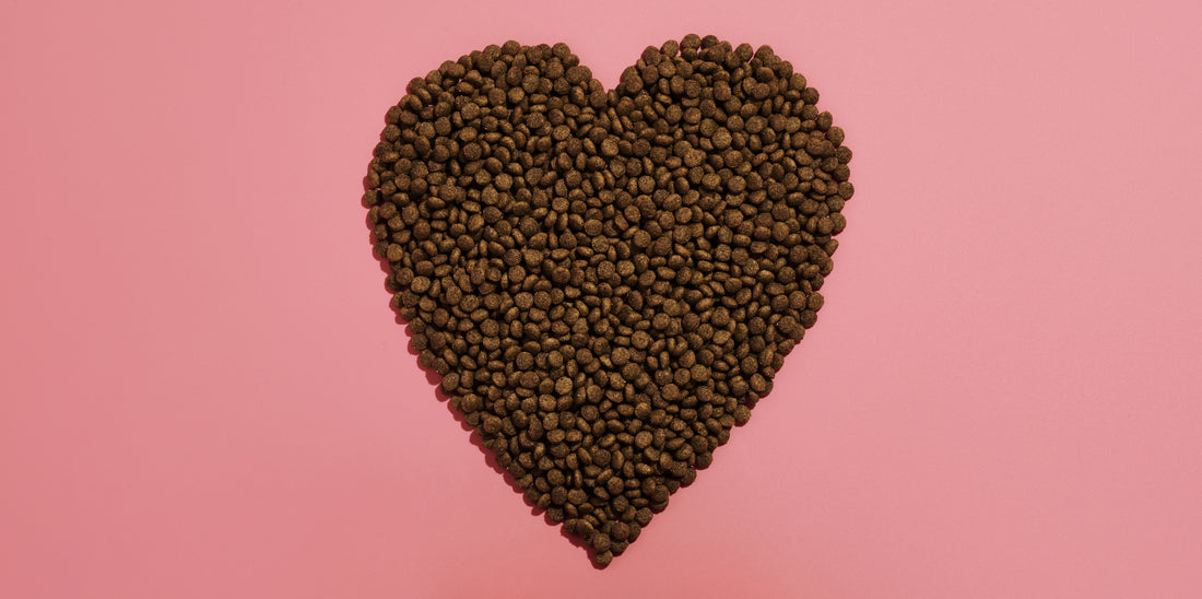 5 signs your cat loves you | Lovebug Pet Foods