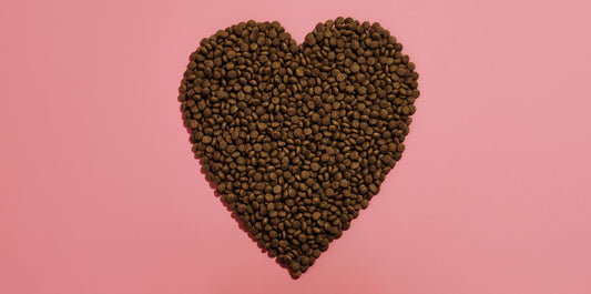 5 signs your cat loves you | Lovebug Pet Foods