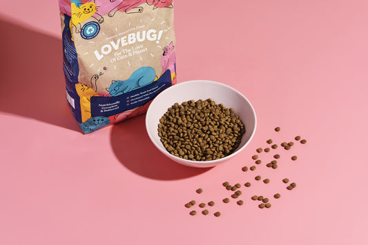 Five reasons to switch to a cat food subscription service | Lovebug Pet Foods