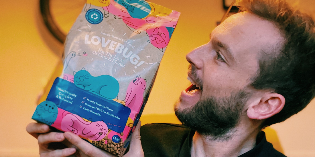 Easy switches you can make now to become an eco-friendly pet parent | Lovebug Pet Foods