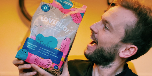 Easy switches you can make now to become an eco-friendly pet parent | Lovebug Pet Foods