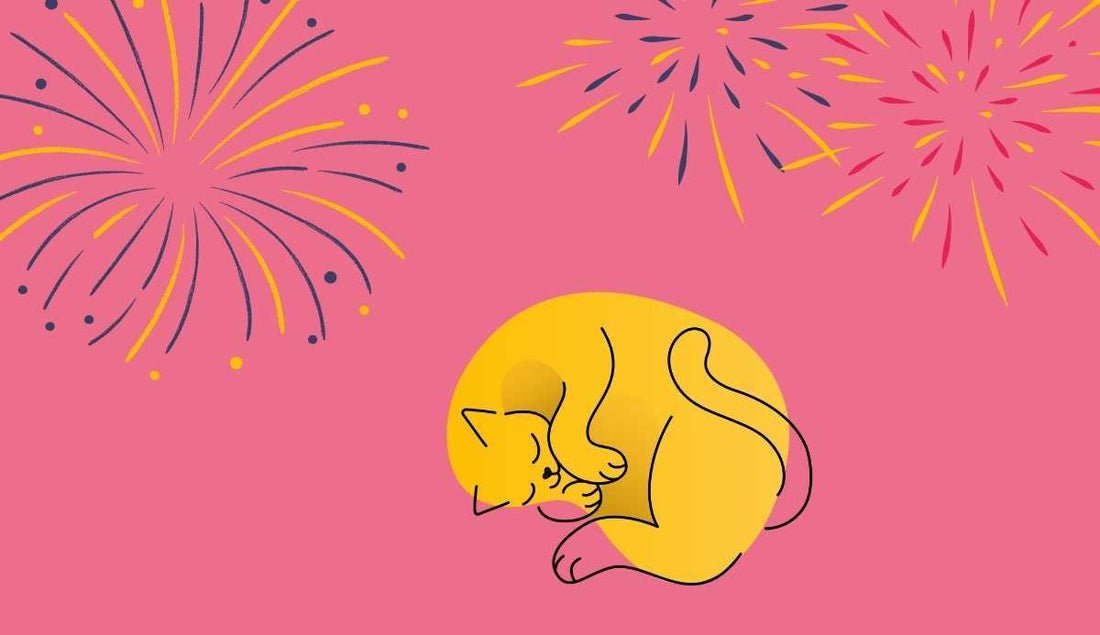 Cats & Fireworks: Helping Our Cats Stay Calm | Lovebug Pet Foods