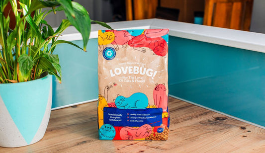New to Lovebug’s insect-based cat food? Here’s the Lovebug 101 | Lovebug Pet Foods