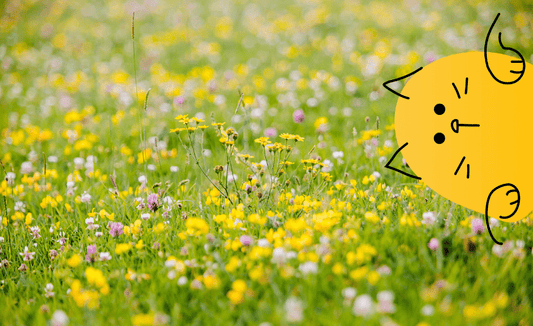 Sustainable Steps For Spring | Lovebug Pet Foods