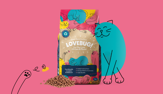 What is Sustainable Pet Food? | Lovebug Pet Foods