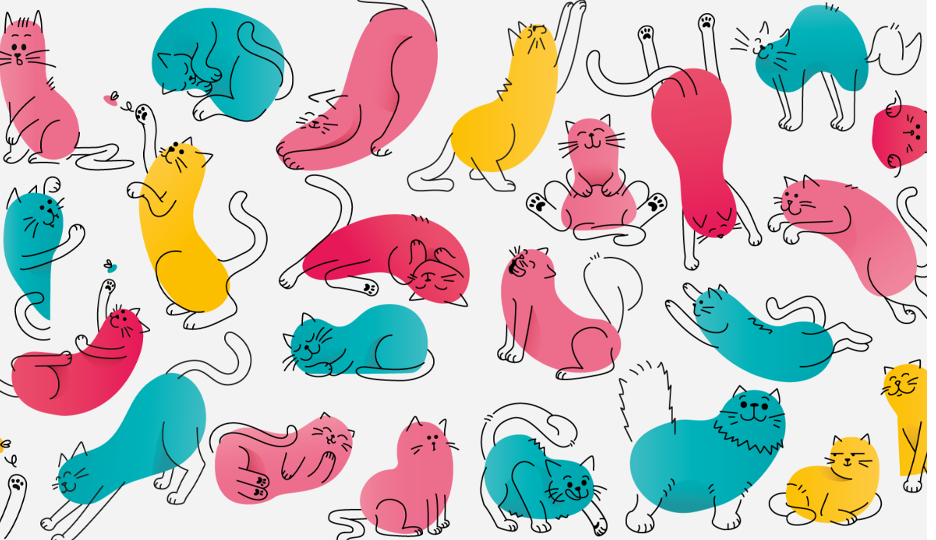 How Cat Years Work: How Old Is My Cat? | Lovebug Pet Foods