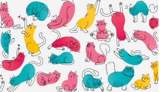 How Cat Years Work: How Old Is My Cat? | Lovebug Pet Foods