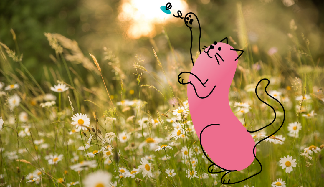 Sustainable Resolutions for 2023 | Lovebug Pet Foods