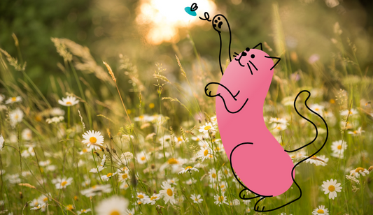 Sustainable Resolutions for 2023 | Lovebug Pet Foods