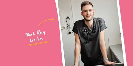 How to safely change your cat’s diet according to Rory the Vet | Lovebug Pet Foods