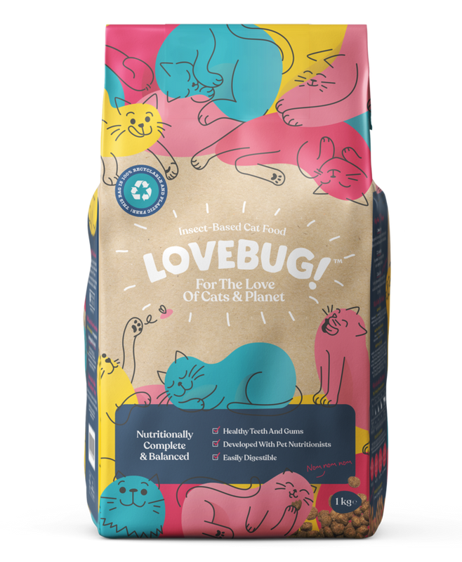 Dry food for sales cats with no teeth