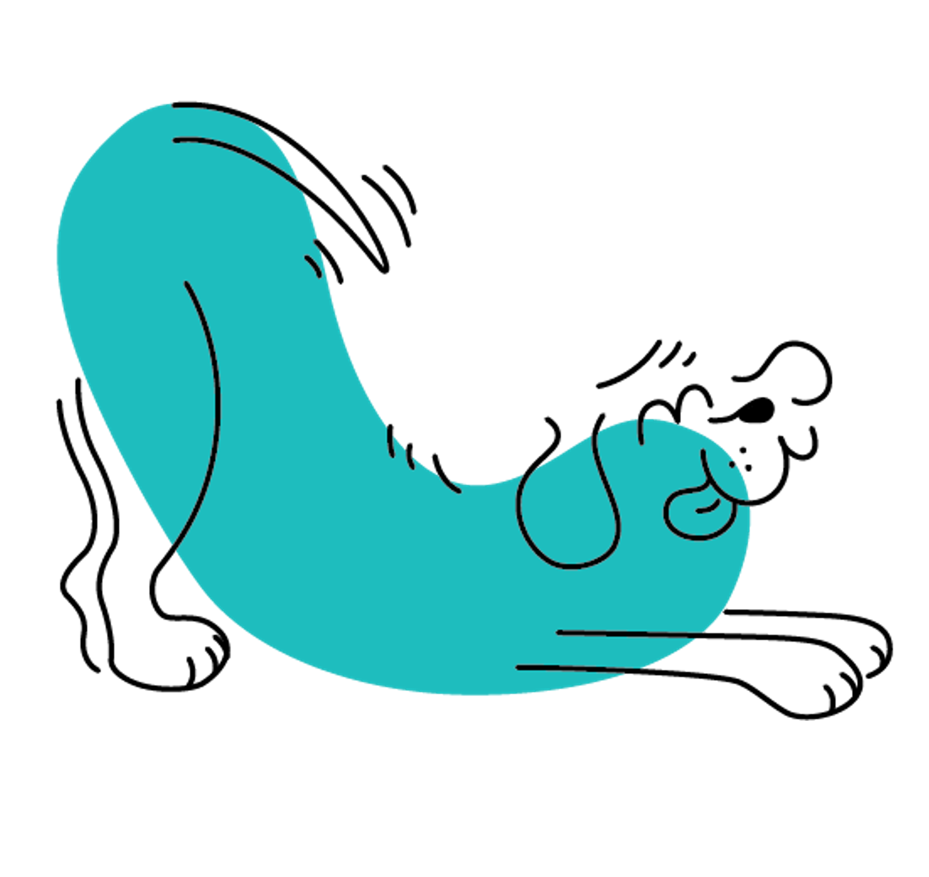 Lovebug Dog Blue
